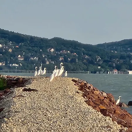 Haz A Szigeten Holiday home Fonyod
